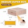 BeeCastle 10 Frame Medium Super Bee Hive Box, Langstroth Honey Bee Hive Include Beehive Frames and Waxed Foundations (Unassembled)