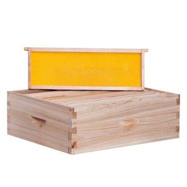 BeeCastle 10 Frame Medium Super Bee Hive Box, Langstroth Honey Bee Hive Include Beehive Frames and Waxed Foundations (Unassembled)