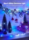 Brightown Blue &amp; White Battery Operated Christmas String Lights with Timer