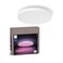 Philips Hue Datura Smart Ceiling Panel, Small Round, 1-Pack
