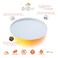 Halo Smx 18" Round Edgeless Surface Mount LED Selectable Dimmable