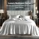 Bedelite Satin Sheets Queen Size Bed Set, Grey, 4 Pieces