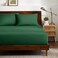 Bare Home Queen Luxury 1800 Ultra-Soft Microfiber Fitted Sheet &amp; 2 Pillowcases - Deep Pockets - Easy Fit - Forest Green