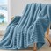 Bedelite Ribbed Twin Blanket for Couch &amp; Bed, Light Blue, 60"x80