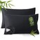 Bedsure Zipper Pillow Cases Queen Size from Rayon Derived from Bamboo