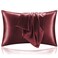 Bedelite Zipper Satin Pillowcases, King Size 20"x36", Burgundy, 2PCS