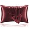 Bedelite Zipper Satin Pillowcases, King Size 20"x36", Burgundy, 2PCS