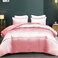 Whale Flotilla 3-Piece Reversible Silky Soft Breathable Queen Comforter Set