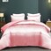 Whale Flotilla 3-Piece Reversible Silky Soft Breathable Queen Comforter Set