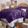 Bedsure Twin Comforter Set &amp; Sheet Set, 5-Piece Purple Bedding Set