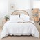 Weigelia White Full Comforter Set with Sheets - 7 Pieces Bed in a Bag Full