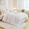 Andency White Queen Comforter Set, Fluffy Faux Fur Warm Bedding Set