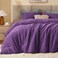 Bedelite Fleece Queen Comforter Set, Fluffy Bed Set, Purple
