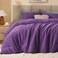 Bedelite Fleece Queen Comforter Set, Fluffy Bed Set, Purple