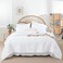 Weigelia White Twin Comforter Set with Sheets - 5 Pieces Bed in a Bag Twin