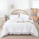 Weigelia White Twin Comforter Set with Sheets - 5 Pieces Bed in a Bag Twin