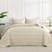 Andency Beige Quilts Queen Size, 3 Pcs Boho Lightweight Striped Bedspread