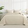 Andency Beige Quilts Queen Size, 3 Pcs Boho Lightweight Striped Bedspread
