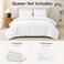 CozyLux Queen Comforter Set, 3 Pieces Down Alternative Bedding, White