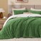 Bedelite Fluffy Sherpa Queen Comforter Set, Sage Green