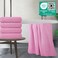 Polyte 430 Gsm Poly Blend Microfiber Quick Dry Waffle Bath Towel, 30X60 In