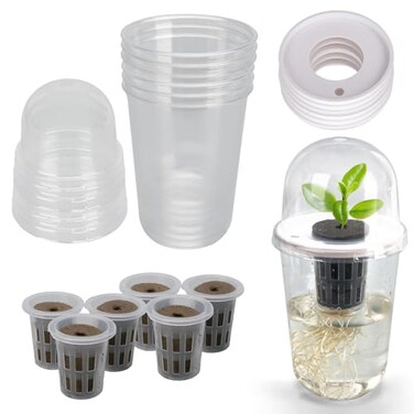 Plus tard Clear Hydroponic Nursery Pots with Humidity Domes &amp; Rrow Sponge 6-Pack