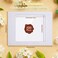 Fainne 100 Pieces Full Face Window Envelopes, White Envelopes, 9 X 12 Inch