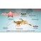 Z-Man Prawn Starz Soft Plastic Prawn - 3.5 Inch - Glow Chartreuse