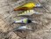 Bandit Lures Bandit Walleye Shad - Sick Monkey - 2 3/8