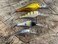 Bandit Lures Bandit Walleye Shad - Sick Monkey - 2 3/8