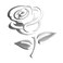 Duscoke 3D Rose Car Sticker Decal, Waterproof Pvc Auto Bumper Stickers