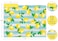Teacher Created Resources Lemon Zest File Folders (TCR8542)