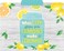 Teacher Created Resources Lemon Zest File Folders (TCR8542)
