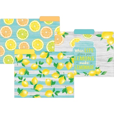 Teacher Created Resources Lemon Zest File Folders (TCR8542)