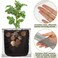 Shimeyao 26 Pcs Root Gopher Protector Baskets, Stainless Steel Wire Mesh