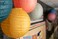 Teacher Created Resources Wonderfully Wild 8" Hanging Paper Lanterns