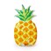 Intex Pineapple Mat Inflatable Mat