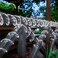 Jnaurb Solar Rope Lights, 66FT 200LED Solar String Lights, 8 Modes, Waterproof