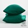 Ntbay Queen Microfiber Pillowcases, Set of 2, Dark Green