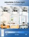 EasyNice 52 Inch Brushed Nickel Flush Mount Ceiling Fan with Light and Remote