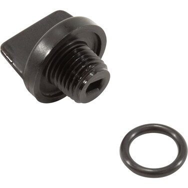 Pentair Drain Plug, Sta-Rite, 1/4"mpt, with O-Ring