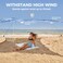 Wekapo Beach Tent Sun Shelter - Easy Setup Beach Canopy with 4 Sturdy Poles