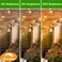 GvvooHome LED S14 Replacement Light Bulbs for Outdoor String Lights, 1W Shatterproof Edison Light Bulbs for Outside Patio Garden, E26 Standard Base, Dimmable, 2200K Warm White, 15 Pack