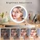Milprox Adjustable Height Makeup Mirror with 10X Magnifying & Light, Silver