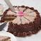 Hutzler Perfect Cake and Pie Divider, Green