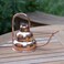 Achla Designs Deco Copper Watering Can, Copper, 1 Quart