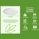 Vplus 150 Pack Compostable Bagasse Paper Plates 9 Inch, White