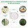 Vplus 150 Pack Compostable Bagasse Paper Plates 9 Inch, White