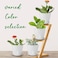 Ynnico 6 Inch Plant Pots 5 Pack Plastic Planters with Drainage & Saucers
