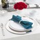 Party Essentials Divine Plastic Dinnerware Disposable Plates for Party, Real China Look, White Silver Rim, 10" 12-Count